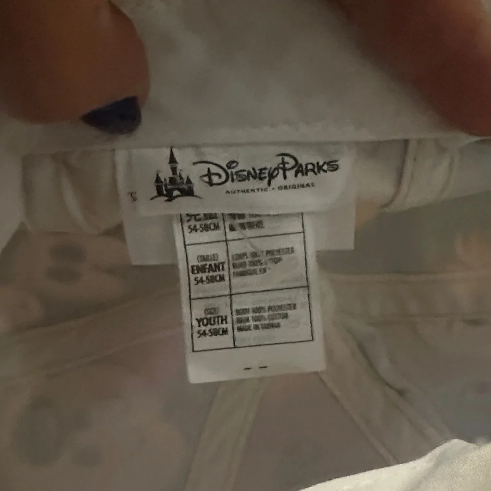 Disney Blue Mickey and Friends Hat